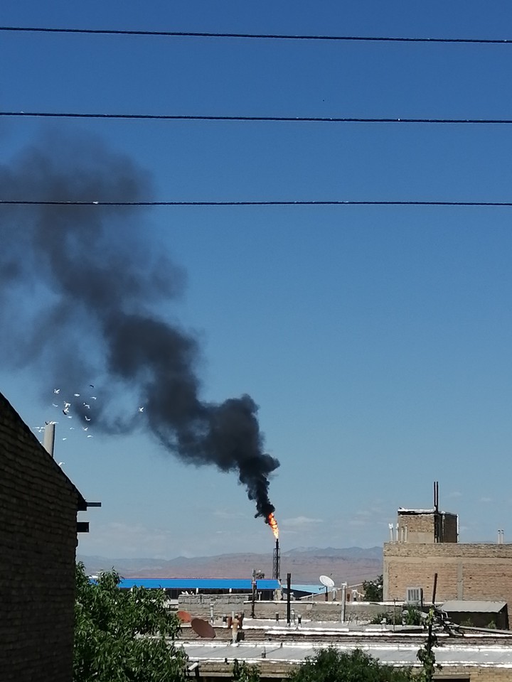 Holly Smoke