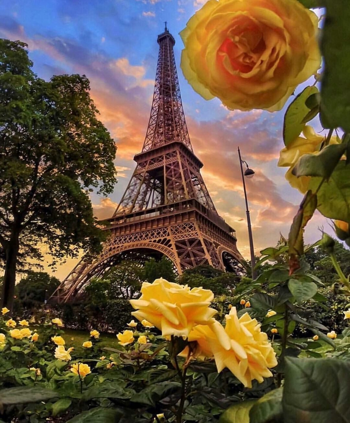 eifel tower