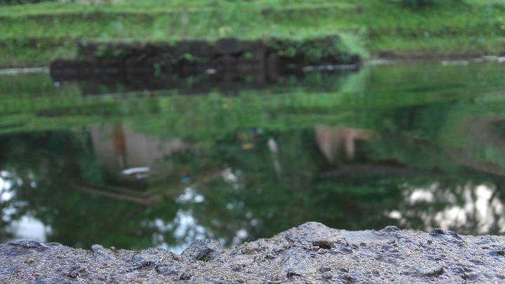 Reflection...