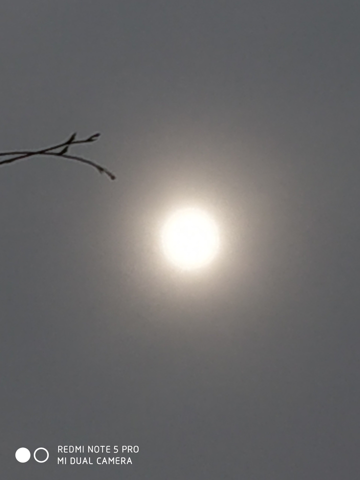 Sun