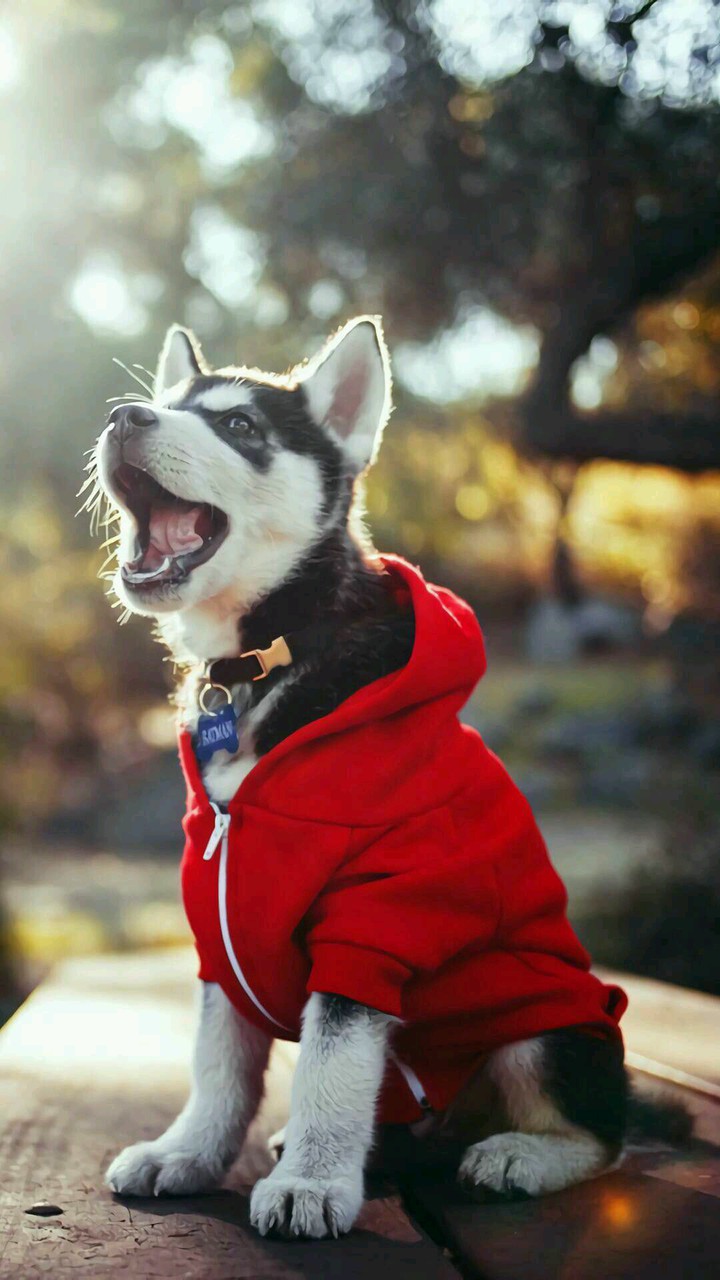 ❤
