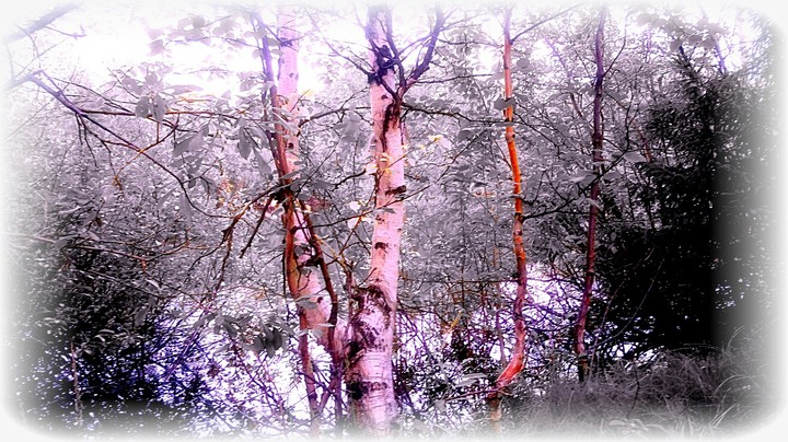 природа