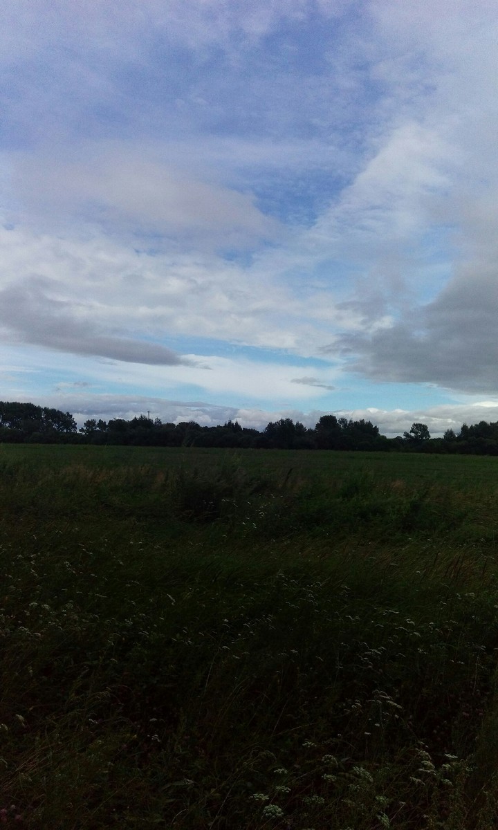 nature