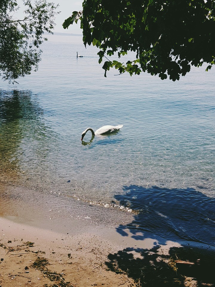 clear water.