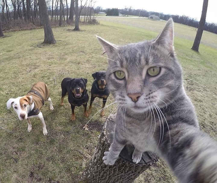 #selfie9
