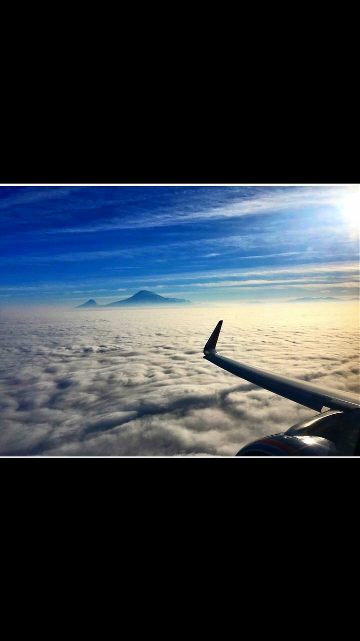 ARARAT