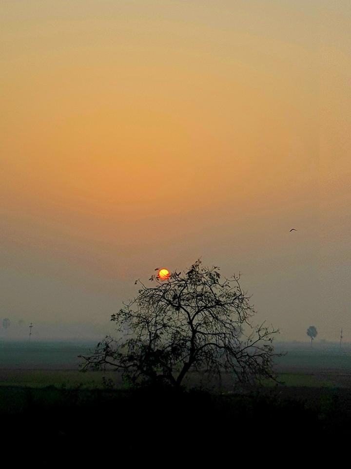 The rising sun