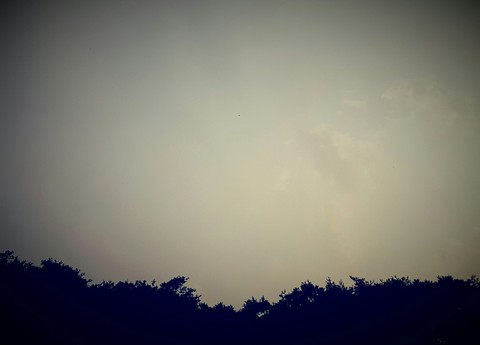 summer