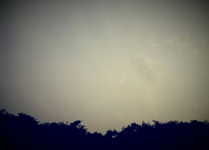 summer