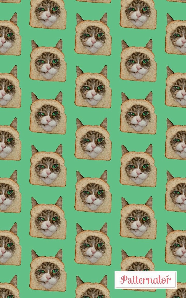 cat.bread.cat....