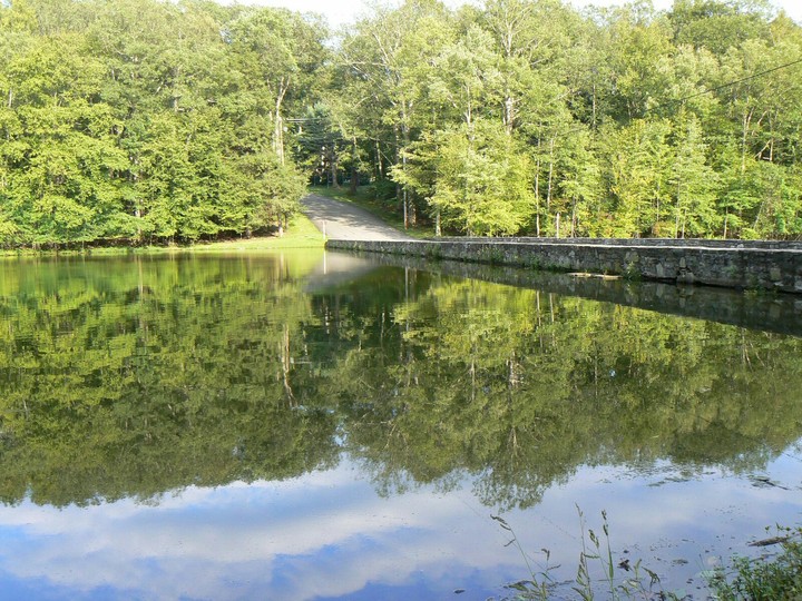 Pond