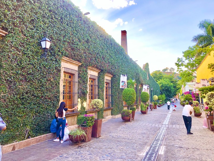 Paseo por Tequila
