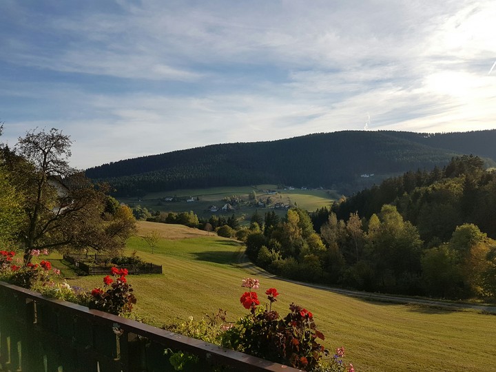 Aussicht vom Balkon in den  Schwarzwald