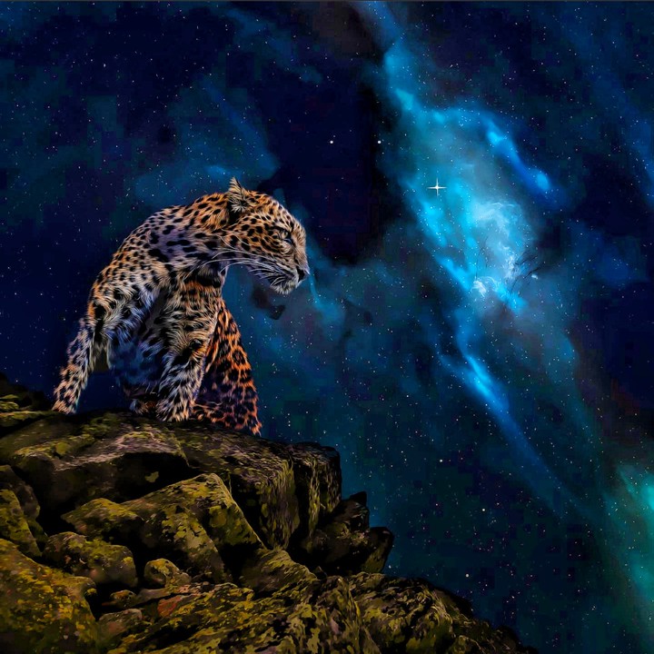 Milky Way