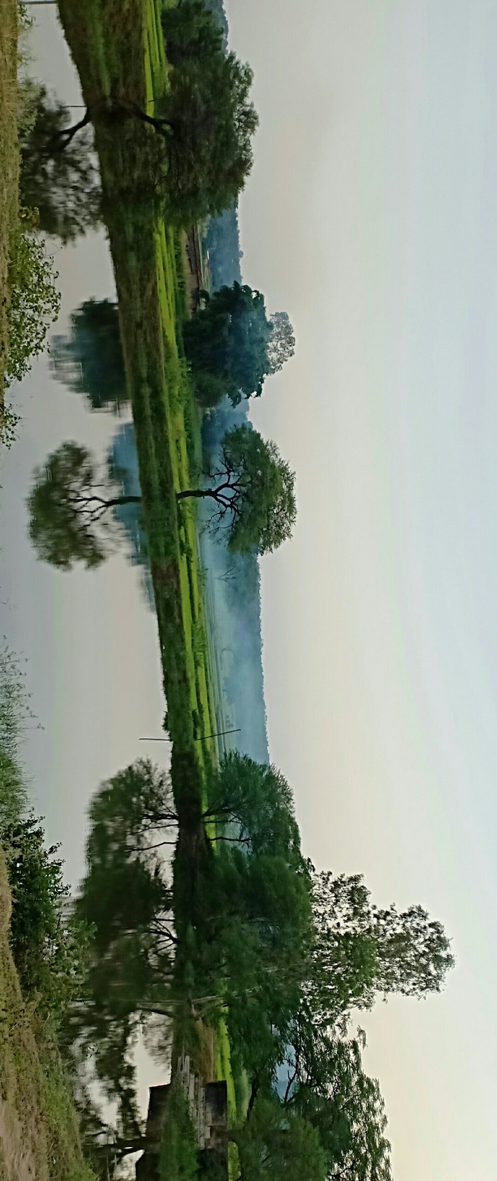 jannat