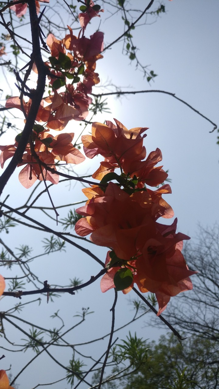 nature doesn't need a filter
