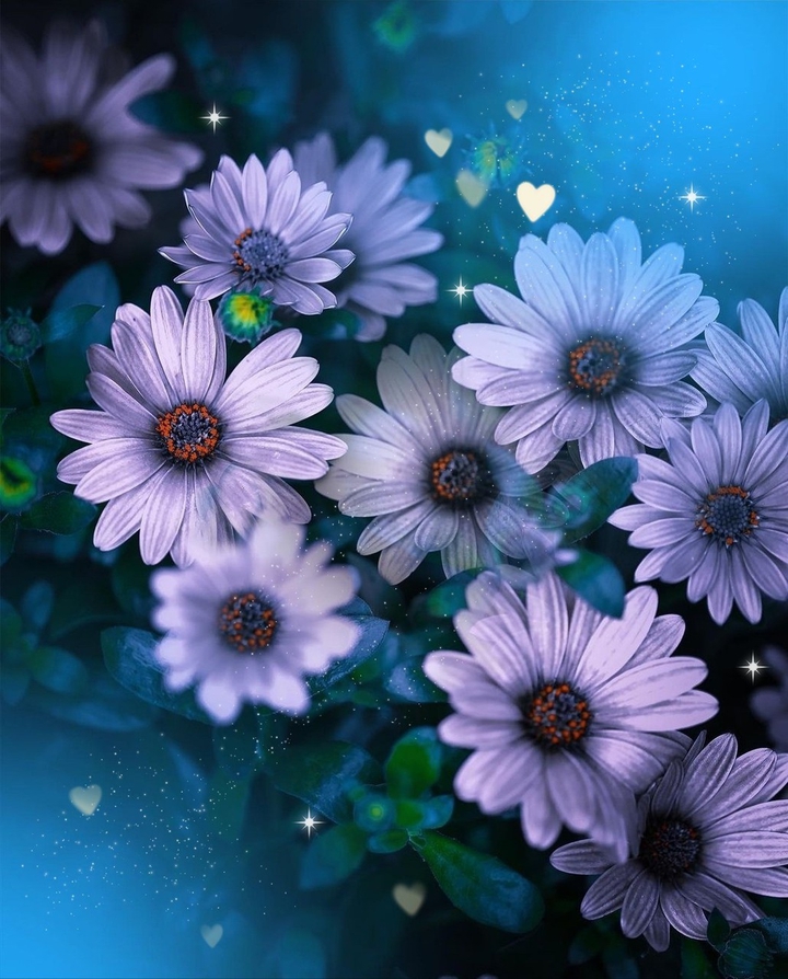 fiori