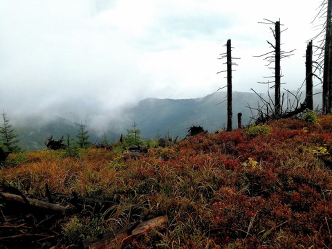 Beskid Śląski