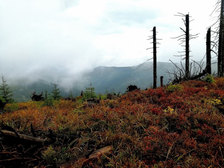 Beskid Śląski