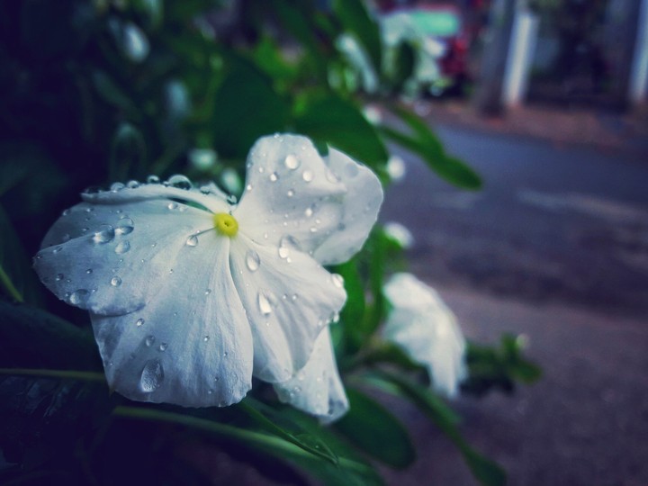 droplets