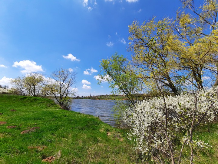 nature