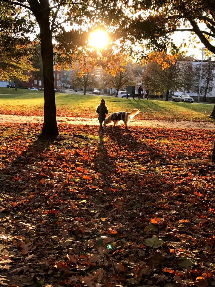 Autumn Days