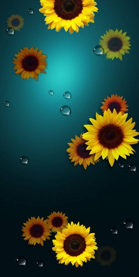 sunflower...