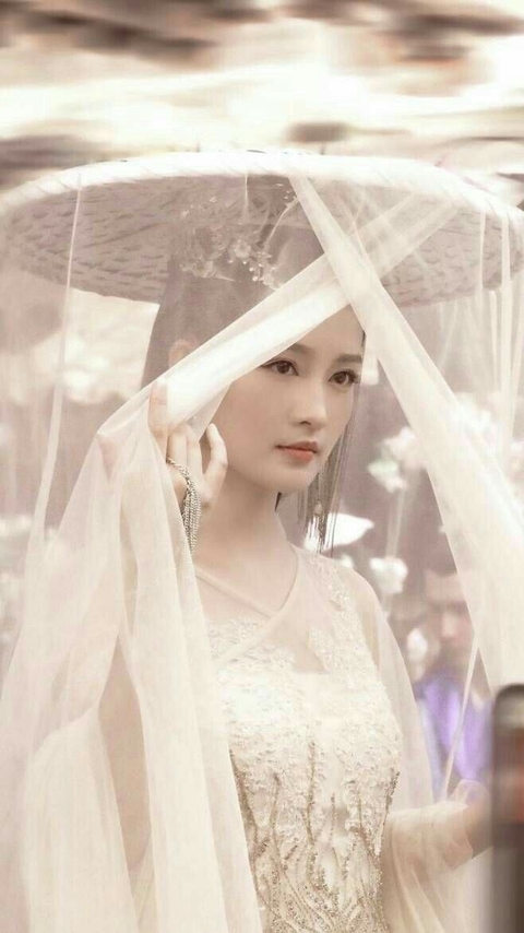 fonds d'écran bride, veil