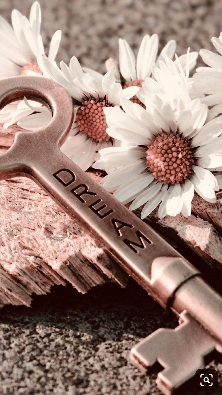 dream