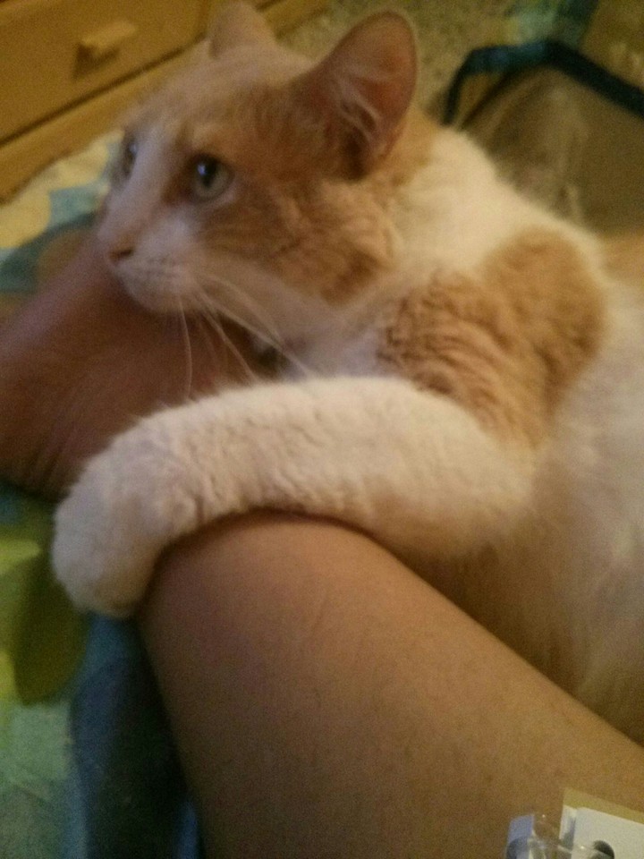 Dando y recibiendo amor