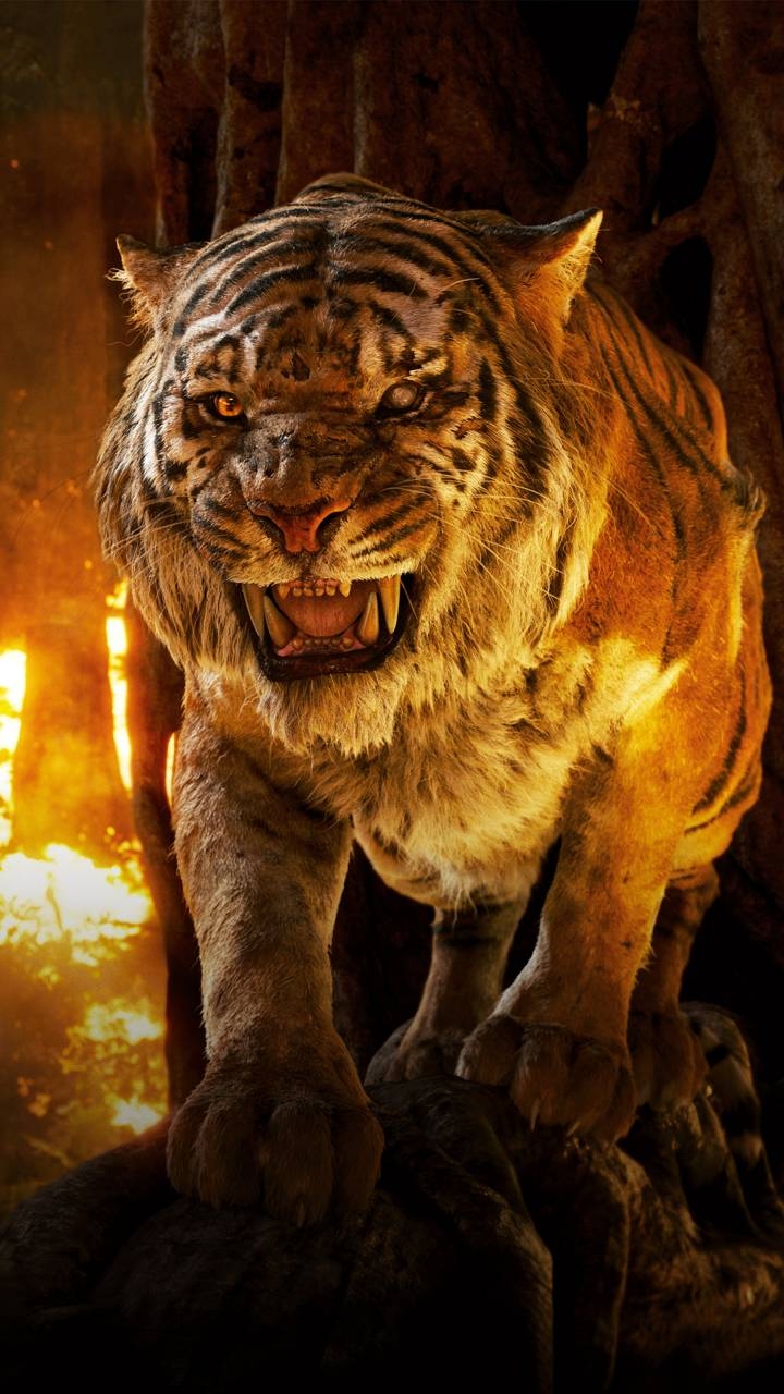 sher cam