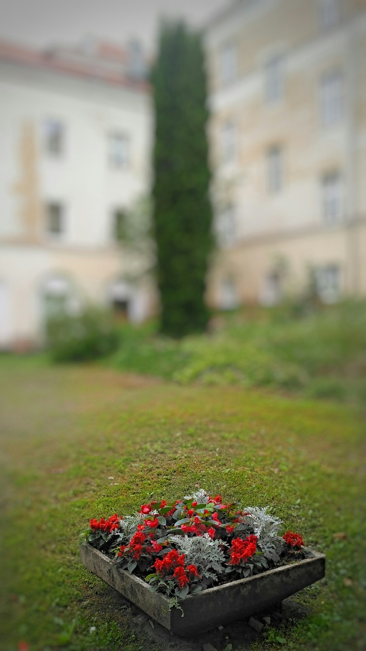 the green