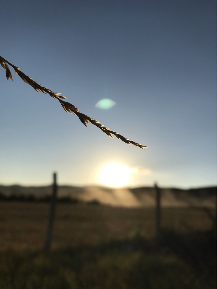 Pretty Sunset