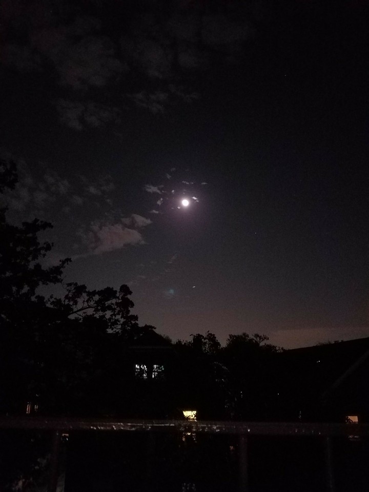 Moon