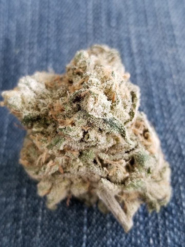 Pretty Bud