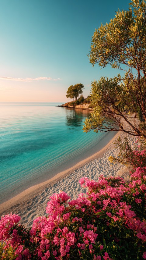 fondos de pantalla coast, pink