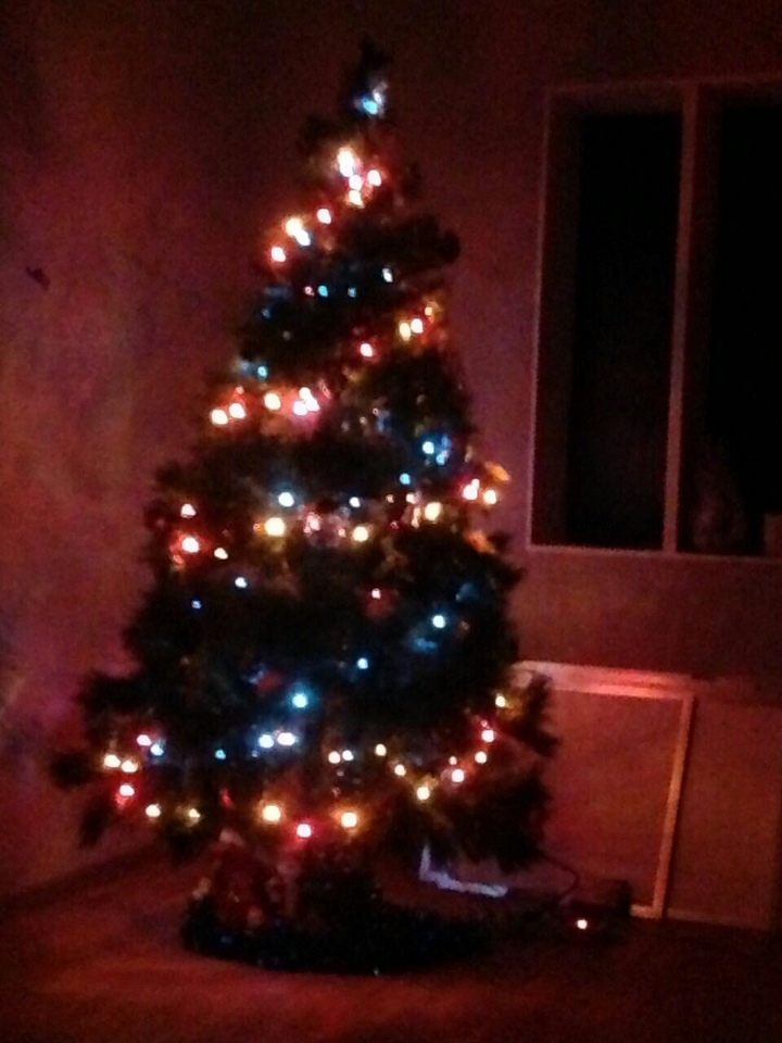 christmas tree