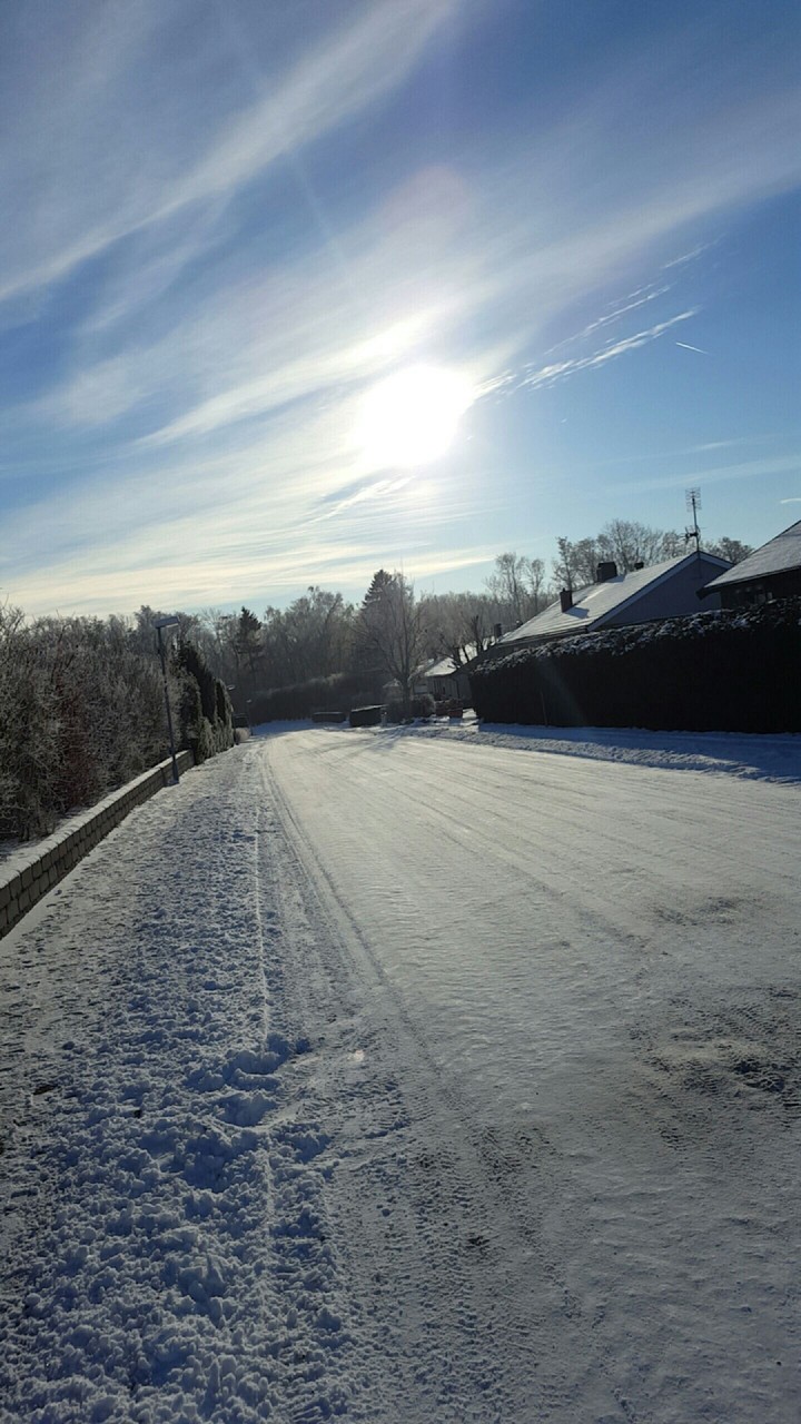 Winter