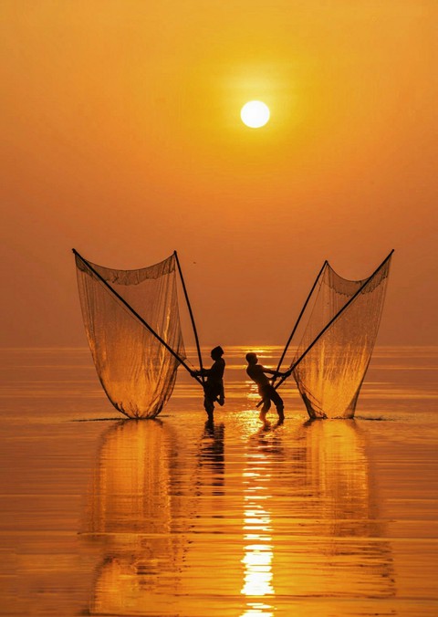 A Golden Fishing Setting Asian Style