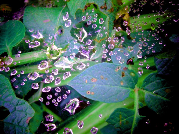 water droplets