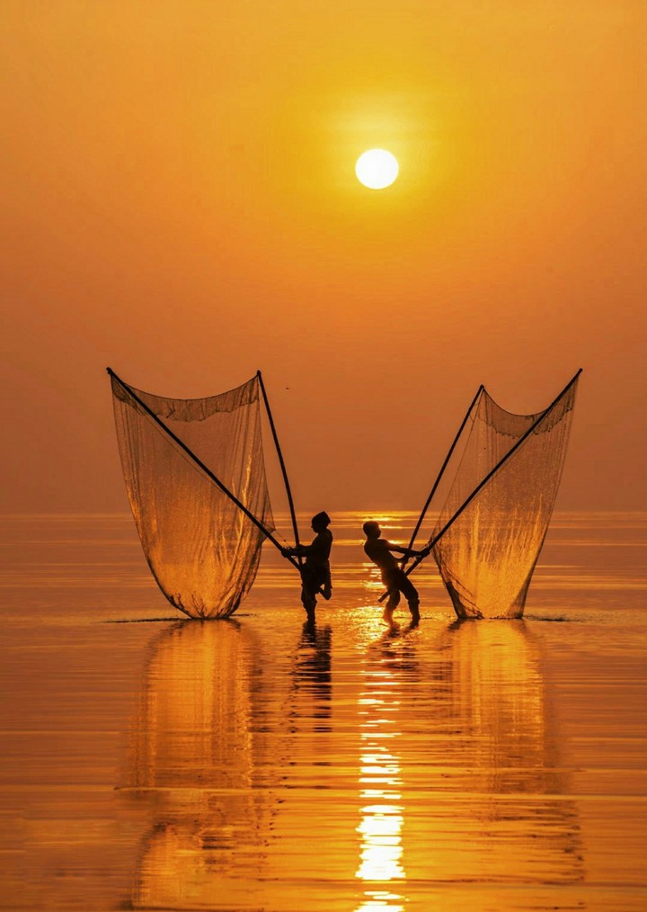 A Golden Fishing Setting Asian Style