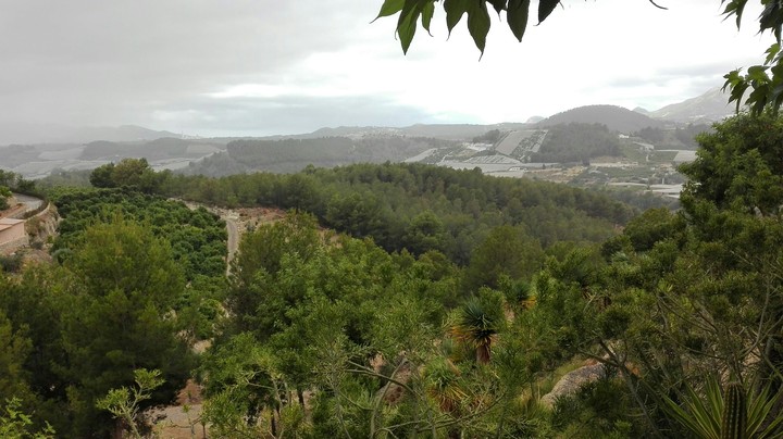 Cloudy Mountain