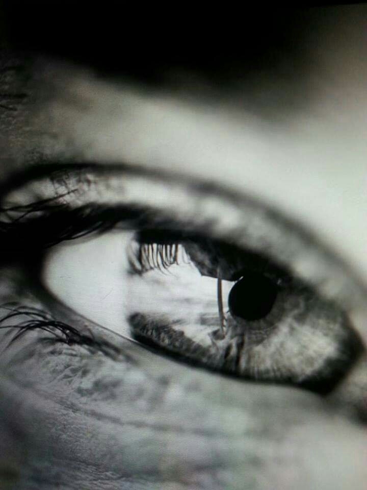 The eye