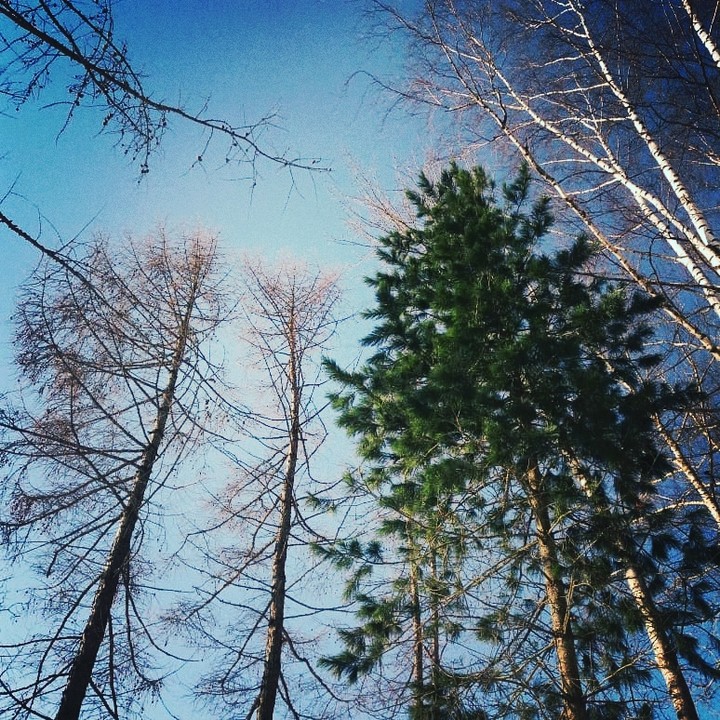 зима