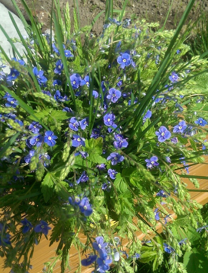 бкет.