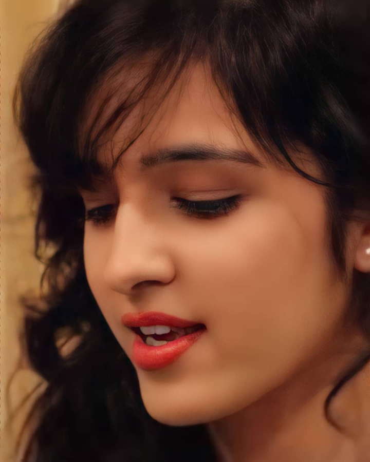 shirly setia