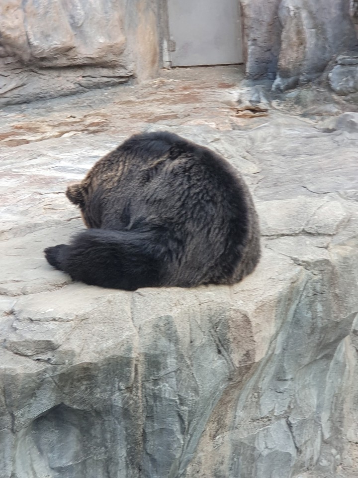 awww♡♡
