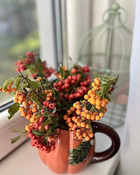 Fruit, Produce, Berry