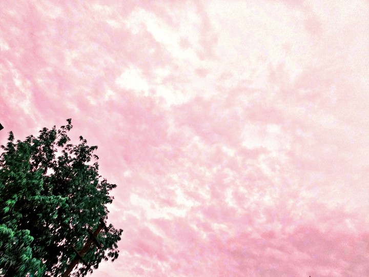 Pink Sky