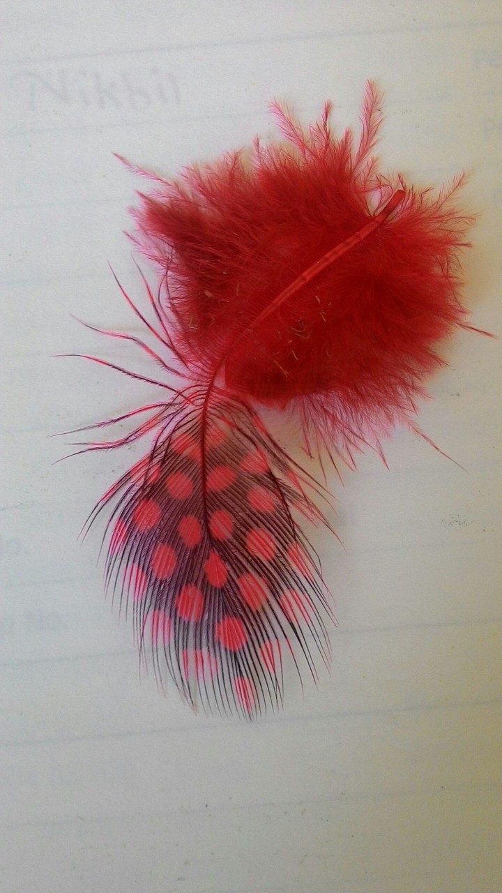 fur